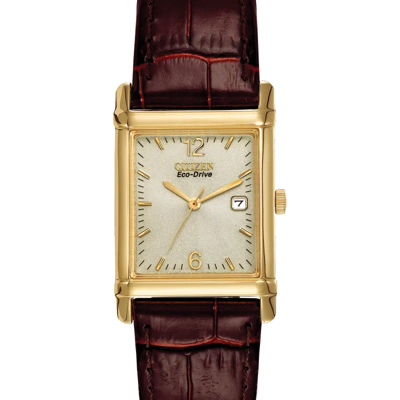 Citizen BW007207P