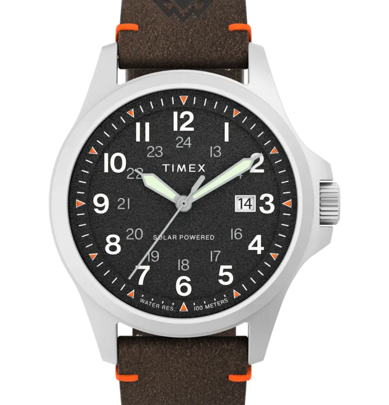 Timex TW2V64100