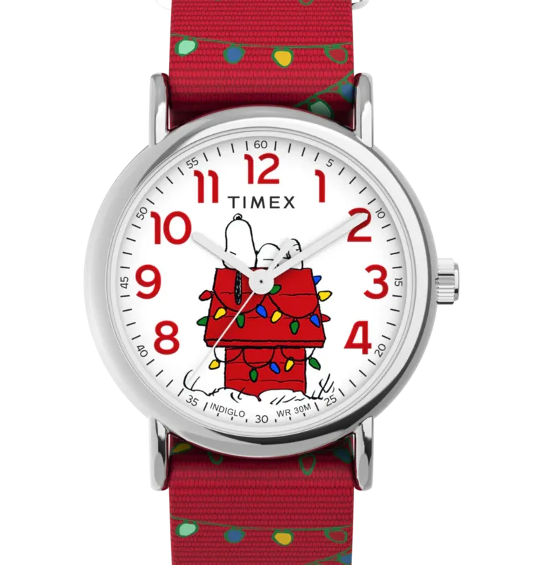 Timex TW2W80800