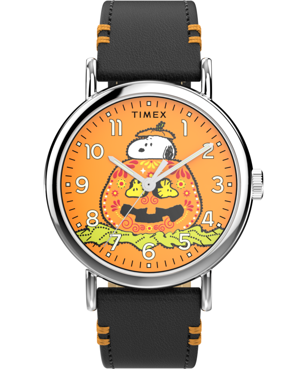 Timex TW2Y12300