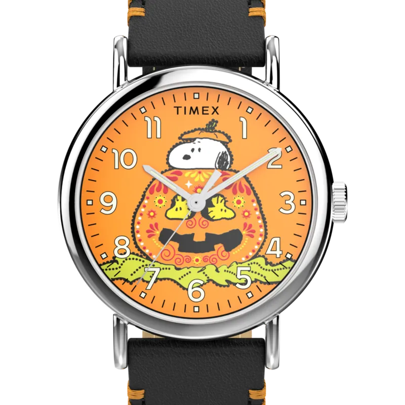 Timex TW2Y12300