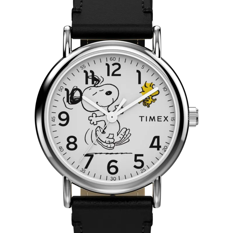 Timex TW2Y31000